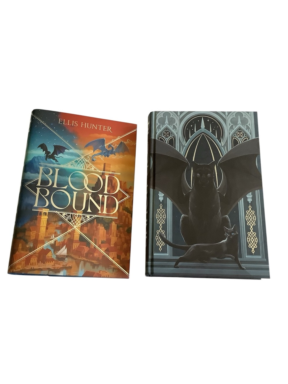Blood Bound by Ellis Hunter  Illumicrate Exclusive Edition New